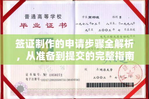 株洲签证制作的申请步骤全解析，从准备到提交的完整指南