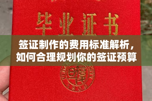 株洲签证制作的费用标准解析，如何合理规划你的签证预算