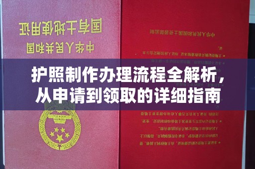 株洲护照制作办理流程全解析，从申请到领取的详细指南