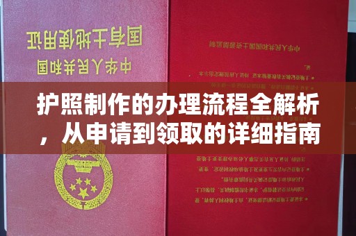 株洲护照制作的办理流程全解析，从申请到领取的详细指南
