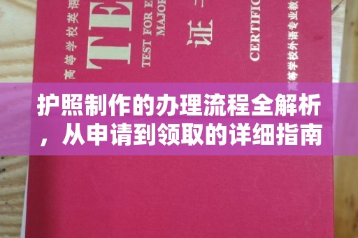 株洲护照制作的办理流程全解析，从申请到领取的详细指南